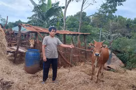 Chư Pưh tạo động lực giúp người dân thoát nghèo