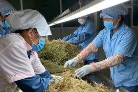 Loại bỏ thuốc y học cổ truyền từ động, thực vật nguy cơ tuyệt chủng