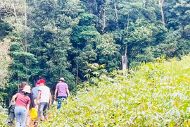 Học kỹ năng sống