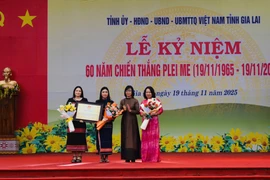 Tỉnh ủy-HĐND-UBND-Ủy ban MTTQ Việt Nam tỉnh Gia Lai long trọng tổ chức Lễ kỷ niệm 60 năm Chiến thắng Plei Me (1965-2025).