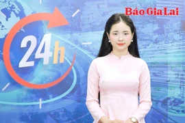 Gia Lai 24h: Phát hiện 117 đối tượng buôn lậu, gian lận thương mại, hàng giả