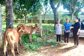 Nhân rộng nhiều mô hình giúp người dân thay đổi nếp nghĩ, cách làm