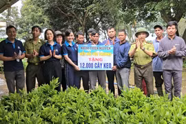 Trao tặng 12.000 cây keo giống cho người dân xã Biển Hồ 