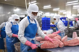 Gia Lai: Kim ngạch xuất khẩu tăng 21,3%