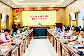 Lãnh đạo các sở, ngành tỉnh Gia Lai dự Hội thảo “Nhận diện điểm nghẽn và đề xuất giải pháp khắc phục liên quan đến Luật Đất đai”