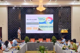 Tiến sĩ Trương Tất Đơ-chuyên viên Cục Lâm nghiệp và Kiểm lâm trình bày tham luận "Yêu cầu sản xuất không gây mất rừng (EUDR) và các giải pháp thực hiện". 