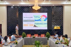 Tiến sĩ Trương Tất Đơ-chuyên viên Cục Lâm nghiệp và Kiểm lâm trình bày tham luận "Yêu cầu sản xuất không gây mất rừng (EUDR) và các giải pháp thực hiện". 
