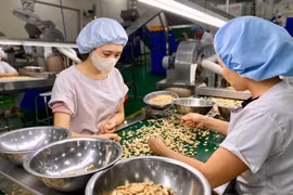 Gia Lai đã thu hút được 144 dự án đầu tư trong 9 tháng đầu năm 2025.