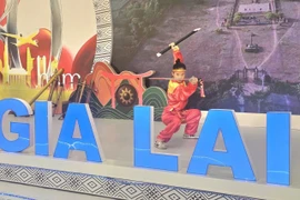 Nhiều hình ảnh đặc sắc, ấn tượng của tỉnh Gia Lai tham gia Triển lãm thành tựu đất nước