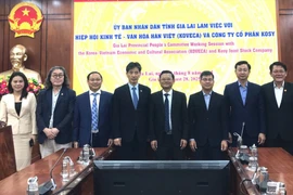Lãnh đạo UBND tỉnh Gia Lai làm việc với Hiệp hội Kinh tế-Văn hóa Hàn Việt và Công ty Cổ phần Kosy