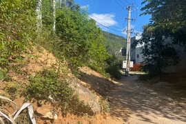 Phập phồng nỗi lo sạt lở ở phường Quy Nhơn Nam 