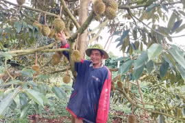 Người Tây Sơn ở Đak Sơmei