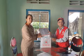Hội Chữ thập đỏ tỉnh Gia Lai hỗ trợ các gia đình khó khăn