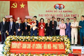 Đại hội Đảng bộ xã Krong