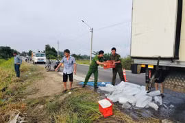 Xe chở tôm lật xuống ruộng, tài xế được Công an Hoài Nhơn Bắc giúp bốc dỡ kịp thời.