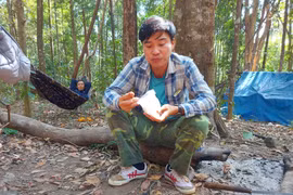 Nhớ những chuyến tác nghiệp ở rừng