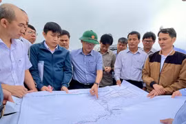 Cần xây dựng kế hoạch tổng thể, dài hạn theo lộ trình đối với các Khu công nghiệp