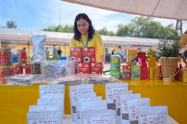 Gia Lai phát động tổ chức chương trình nhận diện hàng Việt Nam