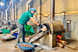 Phương pháp rang thủ công sẽ giữ lại vị ngọt, bùi và vị ngậy đặc trưng mà không loại hạt điều công nghiệp nào sánh bằng. Ảnh: Vũ Thảo