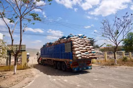 Gia Lai: Tổng kim ngạch xuất nhập khẩu 5 tháng đầu năm ước đạt 118 triệu USD