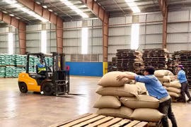 Kho hàng xuất khẩu cà phê của Công ty TNHH Vĩnh Hiệp (phường An Phú).