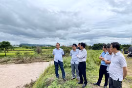Phó Chủ tịch UBND tỉnh Dương Mah Tiệp (bìa trái) kiểm tra tại vị trí sạt lở bờ Đông sông Ia Sol, xã Phú Thiện. Ảnh: Vũ Thảo