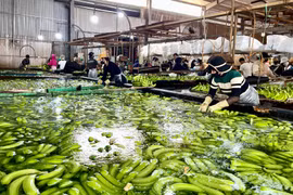 Công bố 7 thủ tục hành chính được sửa đổi, bổ sung trong lĩnh vực an toàn, vệ sinh lao động