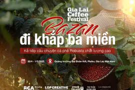 Chuẩn bị tổ chức sự kiện Gia Lai Coffee Festival 2025
