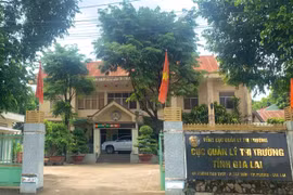  Gia Lai: Quy định chức năng, nhiệm vụ và cơ cấu tổ chức của Chi cục quản lý thị trường 