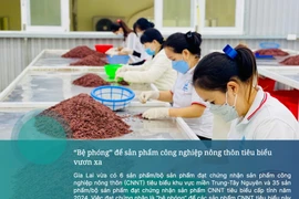 “Bệ phóng” để sản phẩm công nghiệp nông thôn tiêu biểu vươn xa