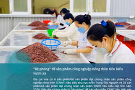 “Bệ phóng” để sản phẩm công nghiệp nông thôn tiêu biểu vươn xa