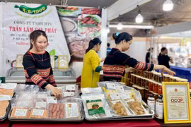 Hội chợ là cơ hội để các doanh nghiệp tăng cường giao lưu học hỏi kinh nghiệm để không ngừng nâng cao chất lượng sản phẩm. Ảnh: V.T