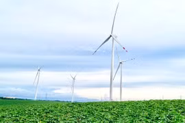 Trên địa bàn tỉnh Gia Lai hiện có 17 dự án điện gió. Ảnh: V.T