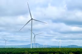 Gia Lai có 17 dự án điện gió, với tổng quy mô công suất 1.242,4 MW. Ảnh: V.T