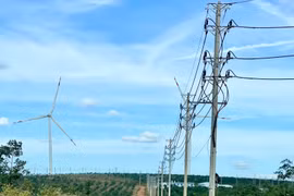 Hiện nay, các chủ đầu tư công trình lưới điện đang khẩn trương làm hồ sơ đề nghị bàn giao công trình điện về Công ty Điện lực Gia Lai để tổ chức bàn giao theo quy định tại Nghị định số 02/2024/NĐ-CP. Ảnh: Vũ Thảo