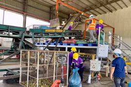 Thiếu hụt nguyên liệu, các nhà máy sản xuất nước ép trái cây giảm mạnh sản lượng