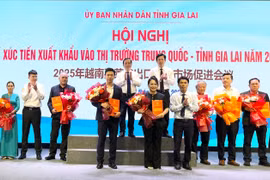 Các doanh nghiệp 2 tỉnh Quảng Tây và Gia Lai ký kết biên bản ghi nhớ hợp tác. Ảnh: Vũ Thảo