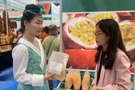 Doanh nghiệp của Gia Lai tham gia Hội chợ Trung Quốc-ASEAN lần thứ 20 (CAEXPO 2023). Ảnh: ĐVCC