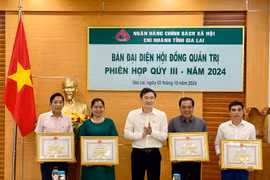 Gia Lai: Tổng dư nợ tín dụng chính sách lũy kế đến 30-9 đạt 7.377 tỷ đồng