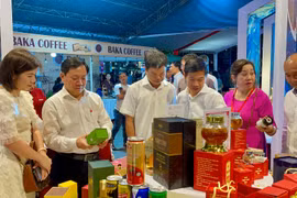 Các sản phẩm đặc trưng của các hợp tác xã ở Gia Lai trưng bày tại Hội chợ. Ảnh: V.T