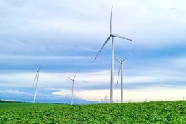 Trang trại Phong điện HBRE Chư Prông có công suất 50 MW, gồm 12 tua-bin gió. Ảnh: Vũ Thảo