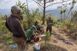 Gia Lai tăng cường công tác phòng cháy chữa cháy rừng