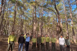 Kiểm tra công tác quản lý, bảo vệ và phòng cháy chữa cháy rừng.