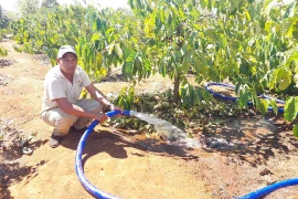 Linh hoạt điều tiết nước tưới để “né hạn”.
