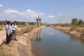  Chủ động điều tiết, đảm bảo nguồn nước tưới.