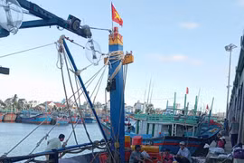 Tàu cá BĐ 96238-TS gặp sự cố trên biển đã về cảng cá Tam Quan an toàn