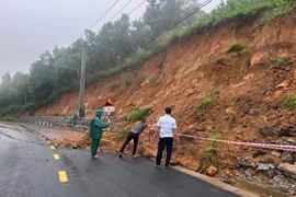 Một thuyền viên trên tàu cá Gia Lai mất tích trên vùng biển Trường Sa