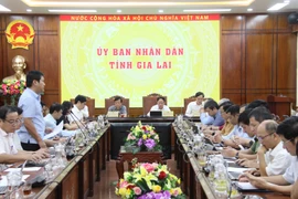 Gia Lai: Kinh tế-xã hội tiếp tục đà tăng trưởng ổn định, nhiều chỉ tiêu vượt kế hoạch