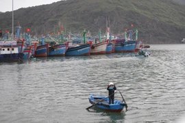 Gia Lai: Không còn tàu cá nằm trong vùng nguy hiểm của bão số 11