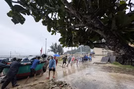 Hơn 5.700 tàu thuyền của tỉnh Gia Lai chủ động phòng tránh bão số 13